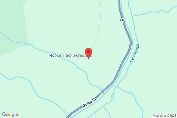 Moose River Land Co
