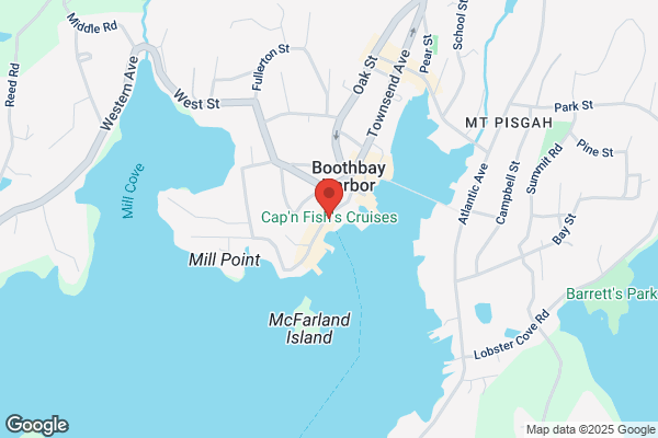 Balmy Days II Cruises