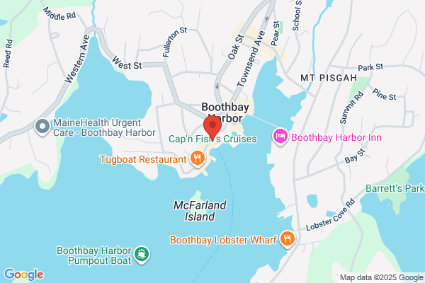 Boothbay Whale Watch