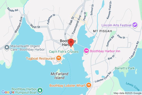 Cap’n Fish’s Whale Watch