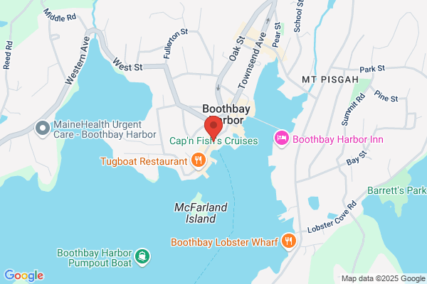 Maine Yacht Service