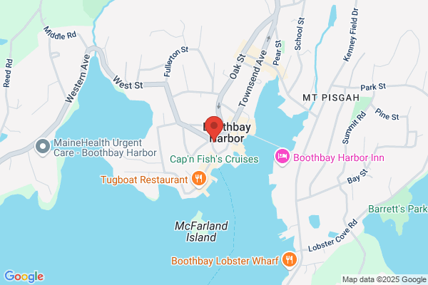 Two Salty Dogs Pet Outfitters