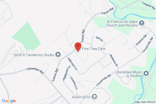 Stone Timothy D Fine Tree Care