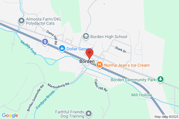 Borden Diner