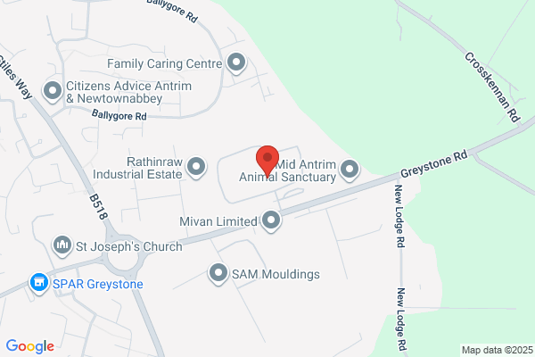 Robinson Services
