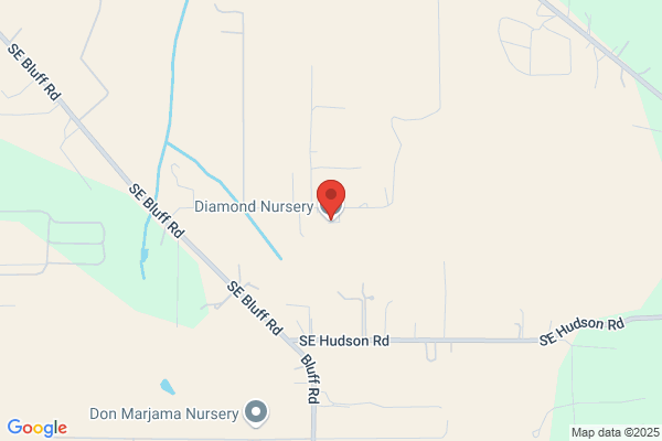 Diamond Nursery Llc