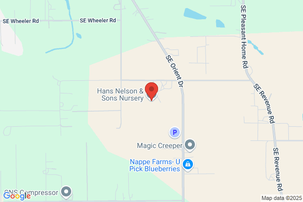 Nelson Hans & Sons Nursery Inc
