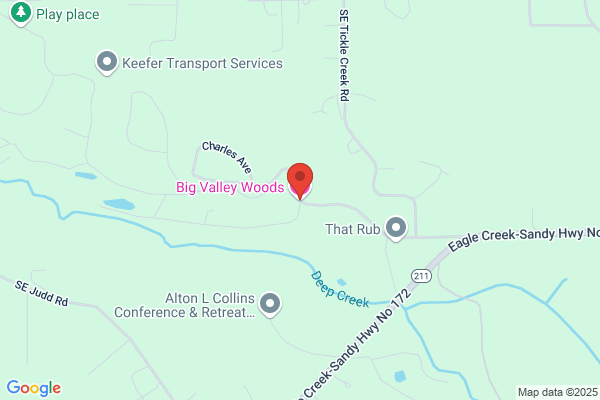 Big Valley Woods