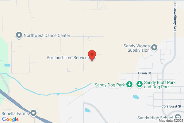 Portland Tree Service