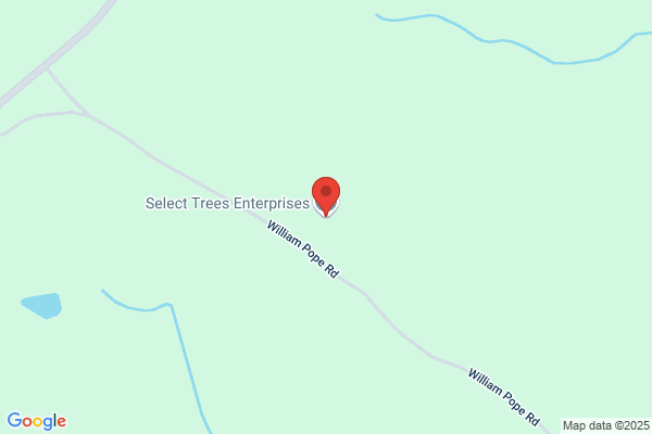 Select Tree & Landscaping