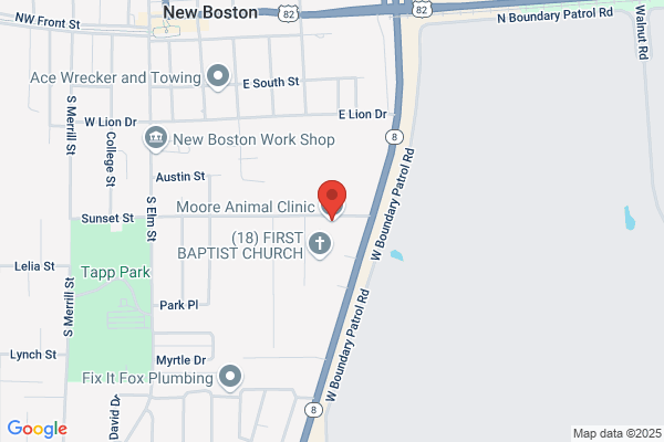 Moore Animal Clinic