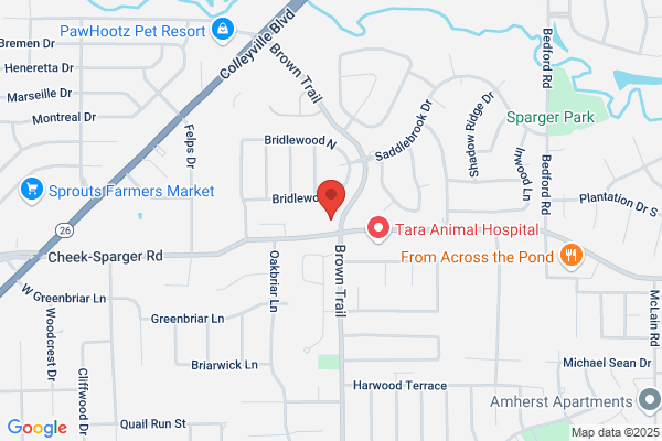 Graham T. Egger, DDS Cosmetic & Family Dentistry