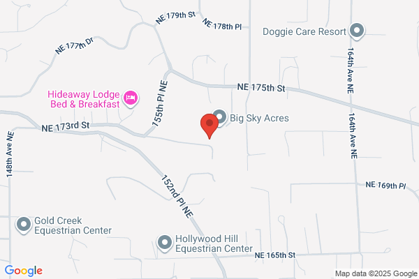 Leonetti Plumbing Inc