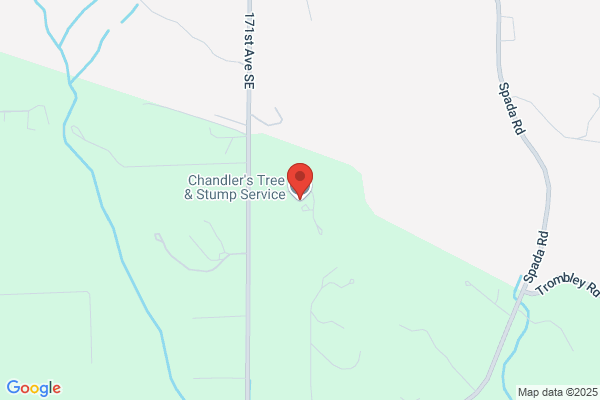 Chandler's Affordable Tree Stump & Logging Service