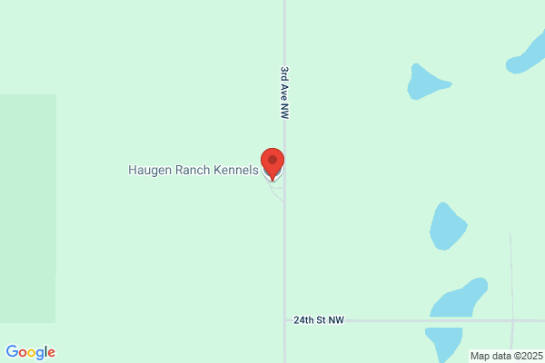 Lgk Kennels & Boarding