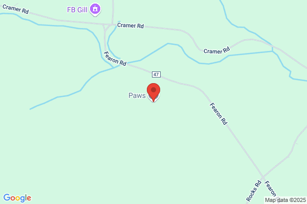 Paws Inn
