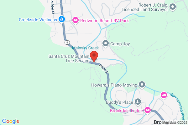 Pacific Mountain Tree Service