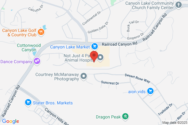 Canyon Automotive Inc