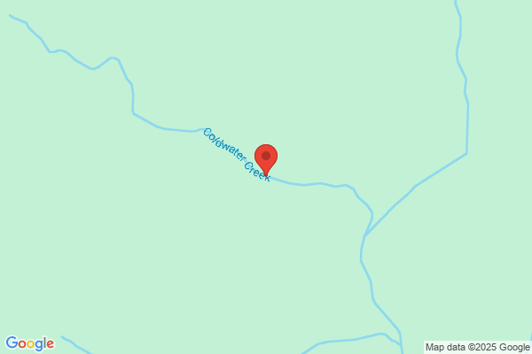Coldwater Creek - CLOSED