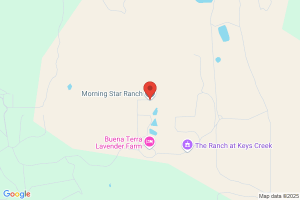 Morning Star Ranch