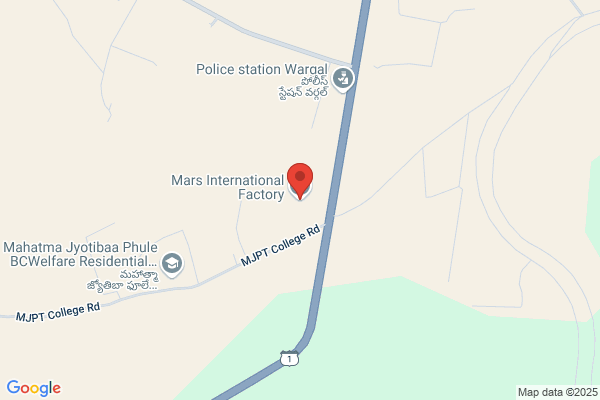 Mars International