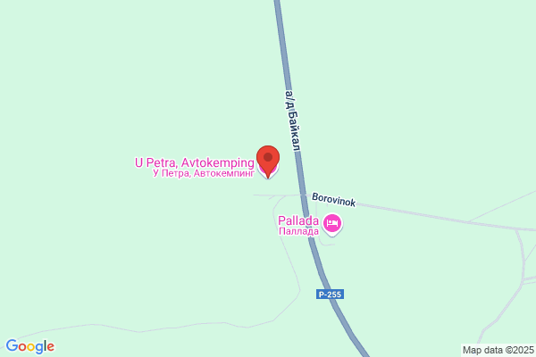 A-1 Pet Motel