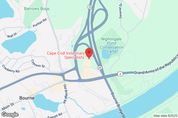 Cape Cod Veterinary Specialists
