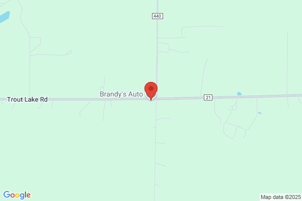 Brandy's Auto Inc