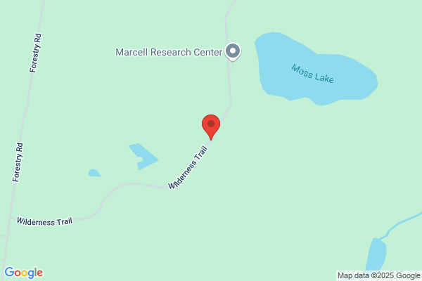 US Forest Service