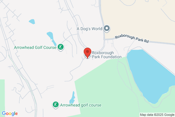 Roxborough Park Foundation & Design