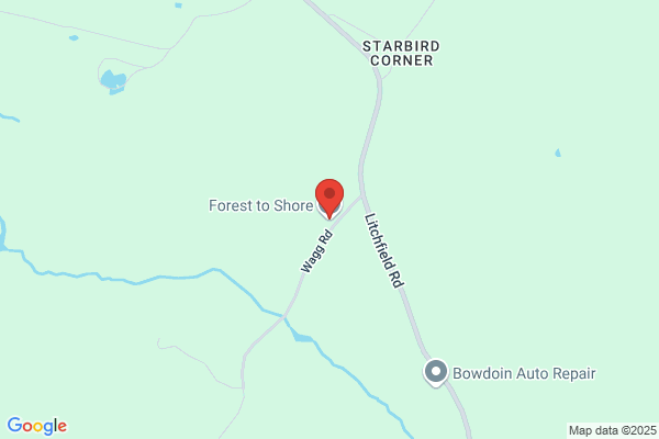 Forest To Shore