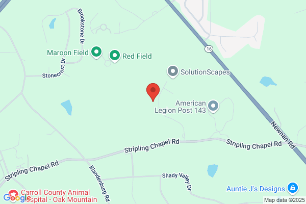 Carrollton, Marriage & Family Therapy Dr,Min Lmft