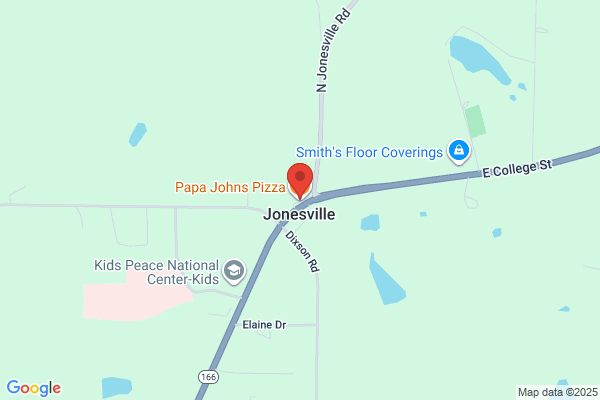 Papa Johns Pizza