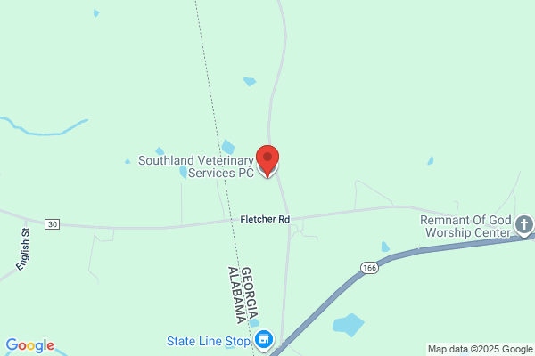 Southland Veterinary Services PC