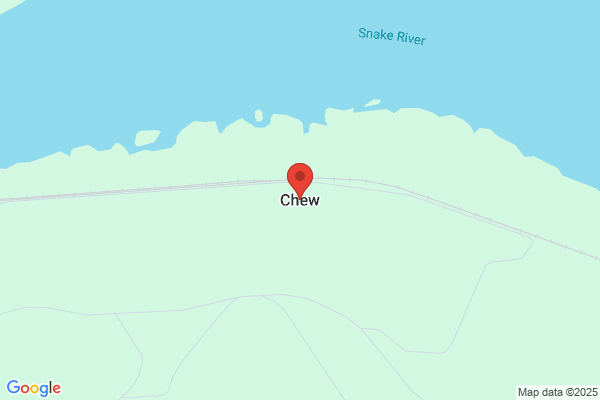 Chew 62