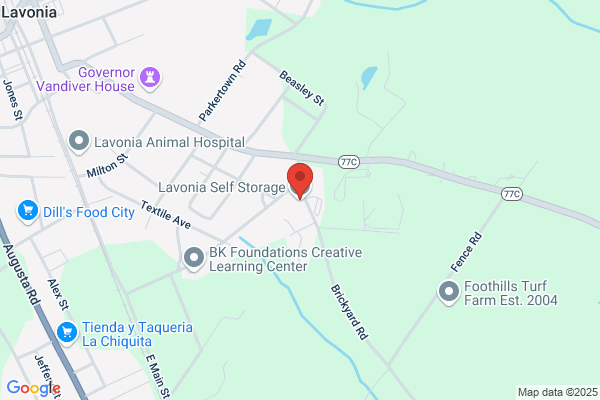 Lavonia Self Storage