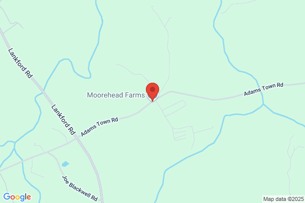 Moorehead Farms