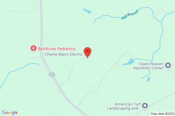 Charlie Mann Electric