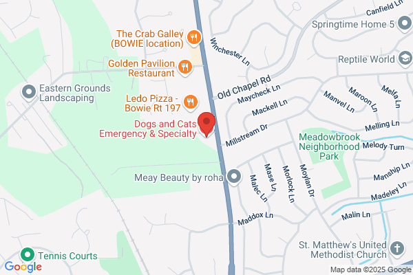 Dogs and Cats Emergency & Specialty