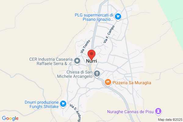 Nurie Inc