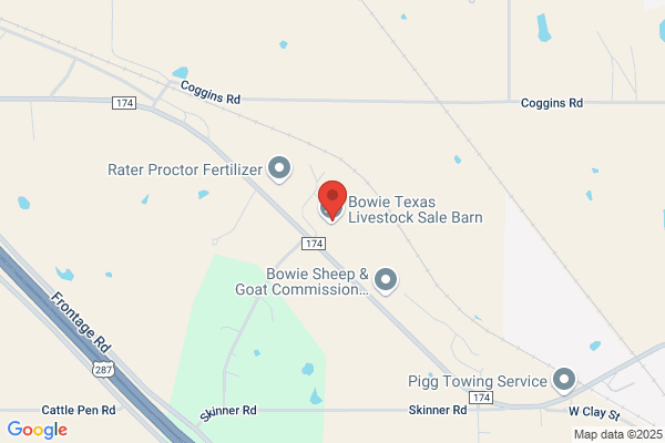 Bowie Texas Livestock