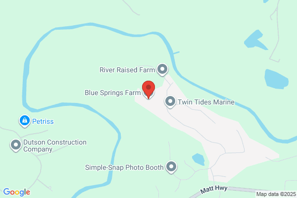 Blue Springs Farm