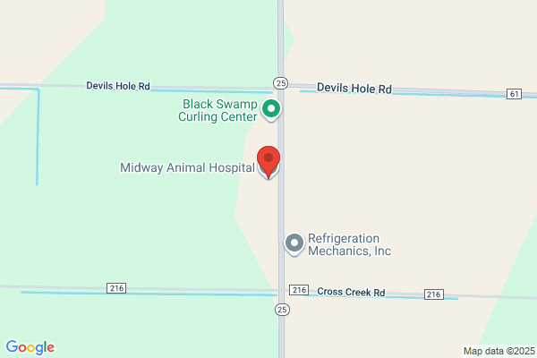 Midway Animal Hospital
