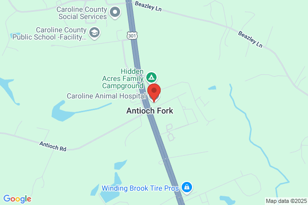 Caroline Animal Hospital
