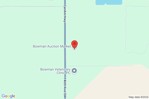 Bowman Auction Market