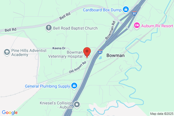 Bowman Veterinary Clinic