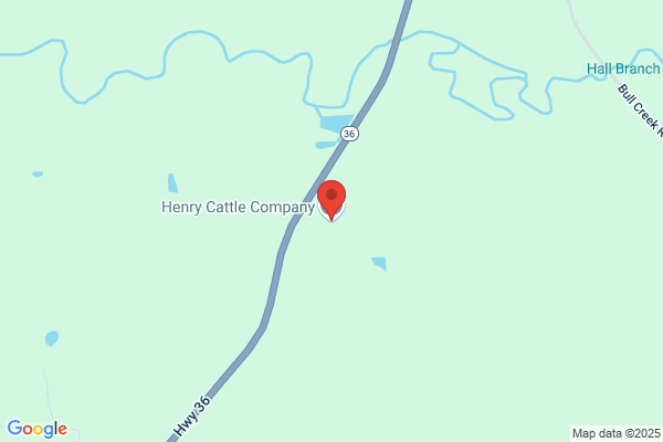 Heinrich Cattle Co