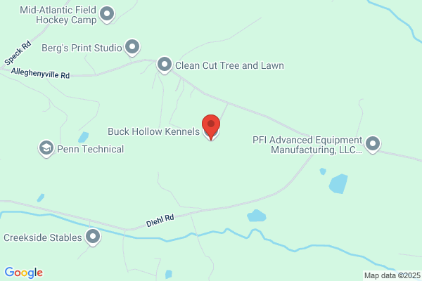 Buck Hollow Kennels