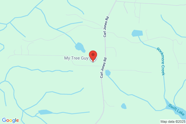 My Tree Guy