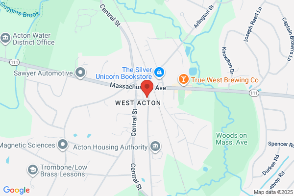 Acton Town of, Library Citizens'